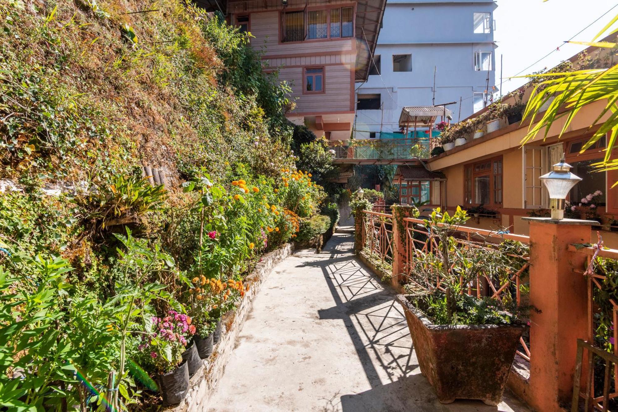 Little Singamari Home Stay Darjeeling  Eksteriør bilde