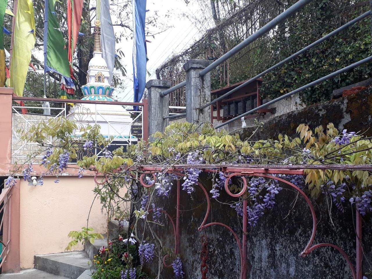 Little Singamari Home Stay Darjeeling  Eksteriør bilde
