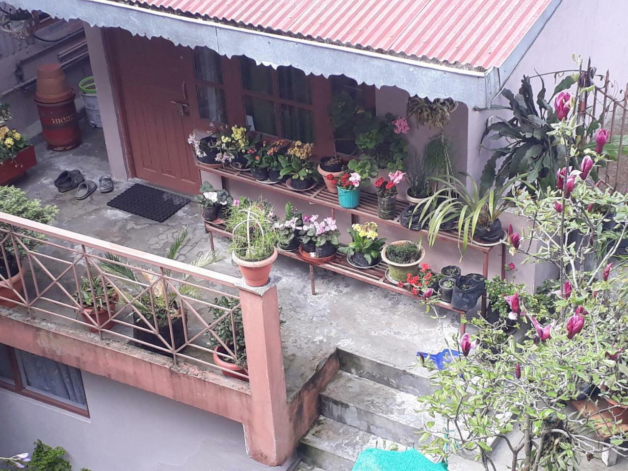 Little Singamari Home Stay Darjeeling  Eksteriør bilde
