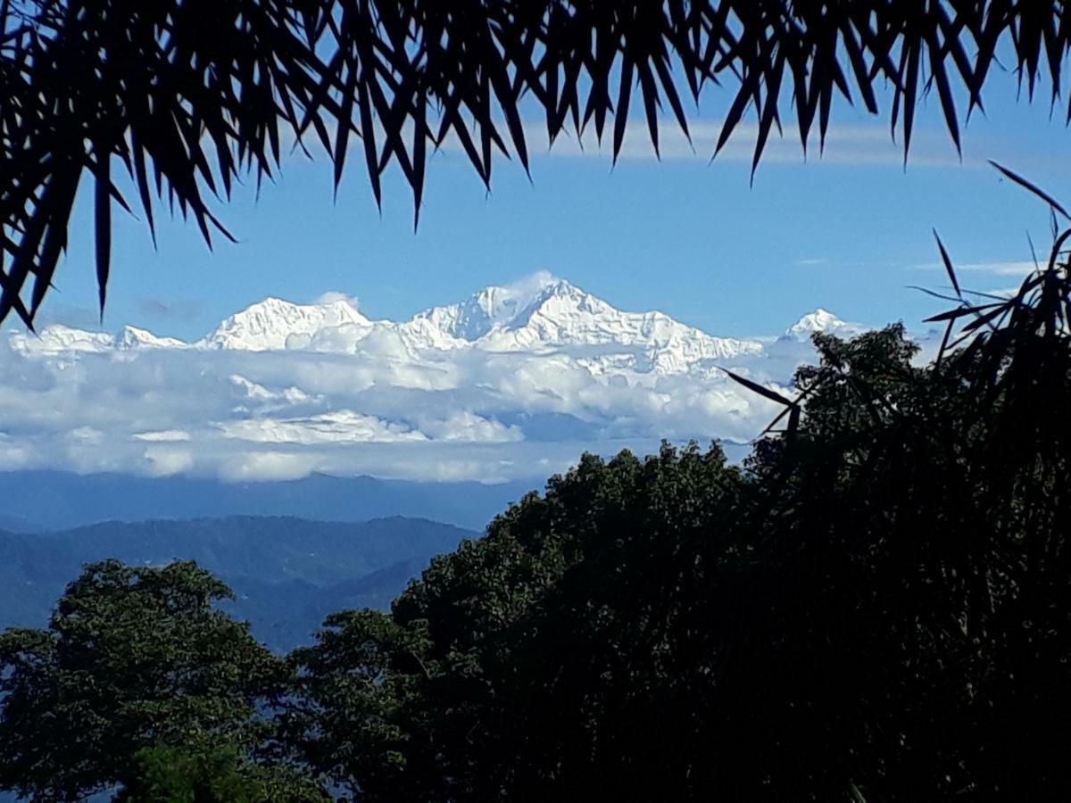 Little Singamari Home Stay Darjeeling  Eksteriør bilde
